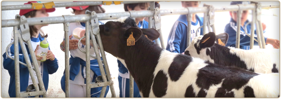Yogures ecológicos para niños de Xanceda. Concienciación y correcta alimentación, una fina línea.